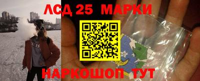 индика Можайск