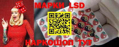 индика Можайск