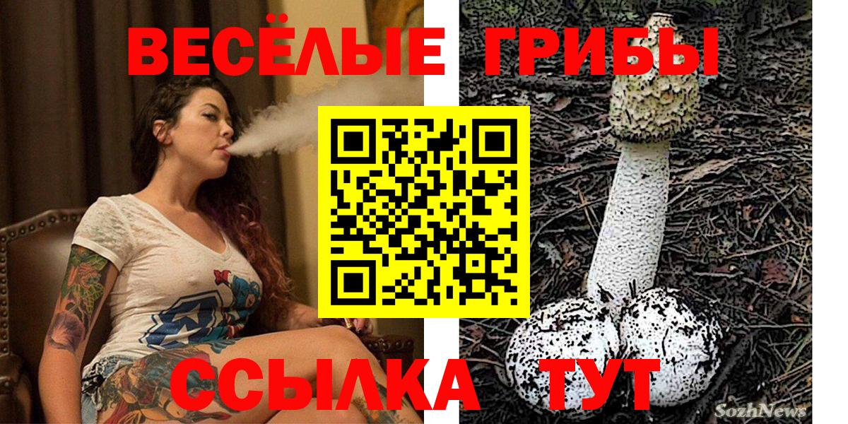 Галлюциногенные грибы GOLDEN TEACHER  Псилоцибиновые грибы MAGIC MUSHROOMS  Вход с VPN  Электросталь 
